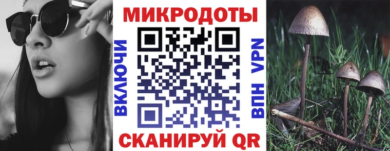 Псилоцибиновые грибы мухоморы  Переславль-Залесский 